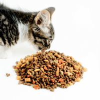 Hrana i poslastice za mačke